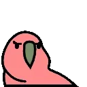 🦜