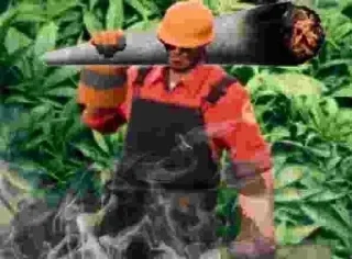 🌿