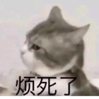 😂