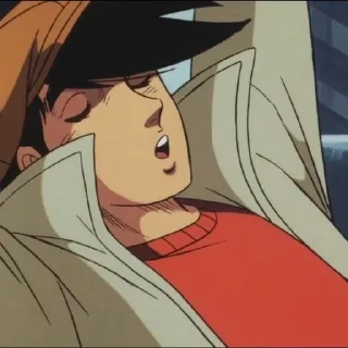 🥊