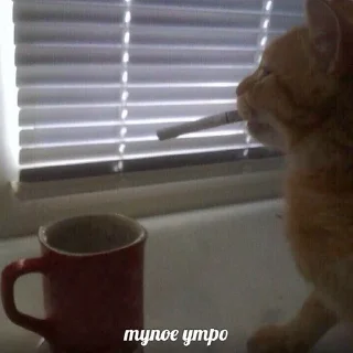 😠