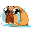 😭