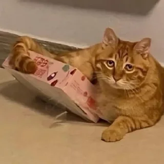 😒