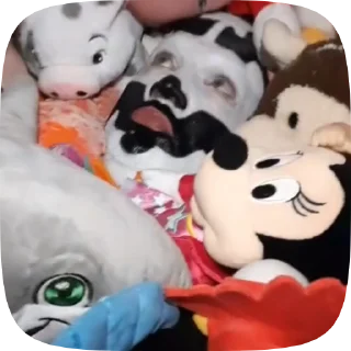😨