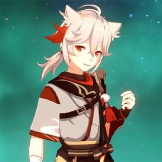 🐱
