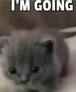 😶