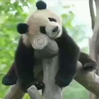 🫠