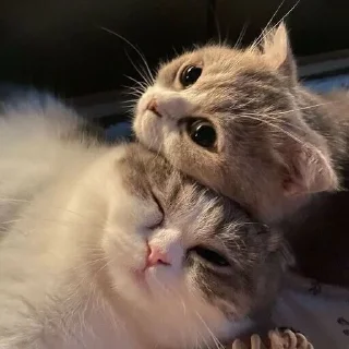 ❤️