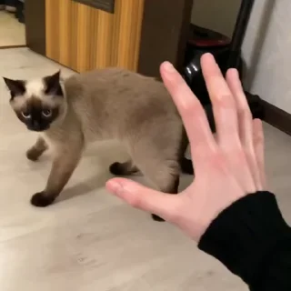 😡