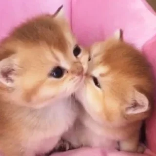💋