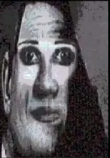 🌚