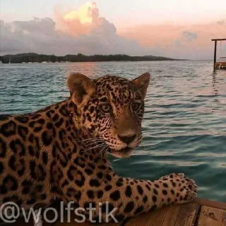 😎