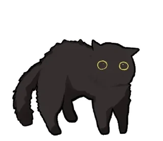 🐱