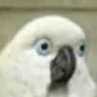 🤯