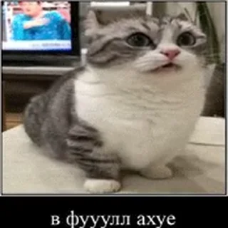 😱