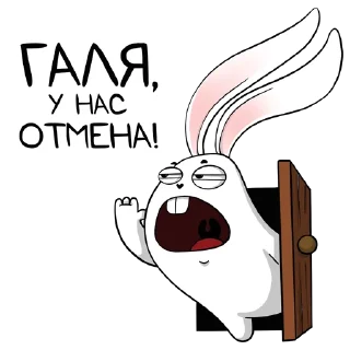 белый кролик