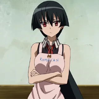 Akame ga Kill! @stickinchat