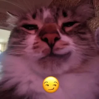 😏