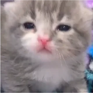 😭