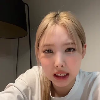 🐰