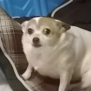 😶