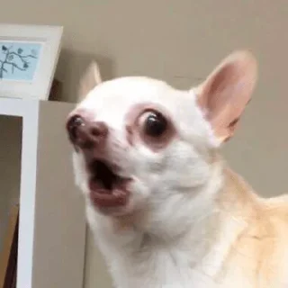😑