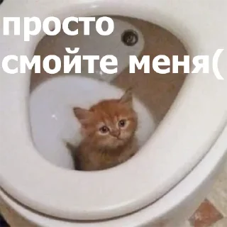 😞