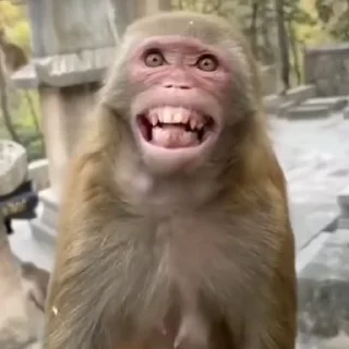 😂