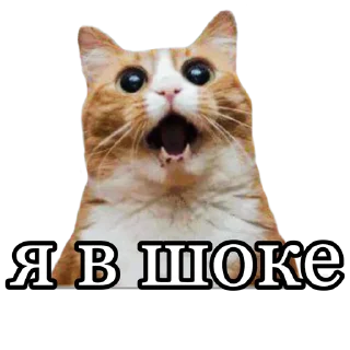 😱