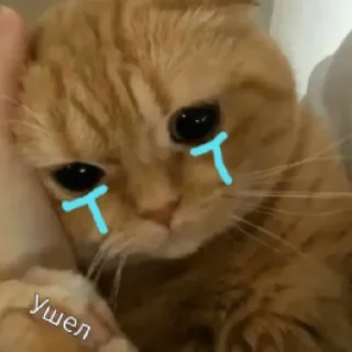 😢