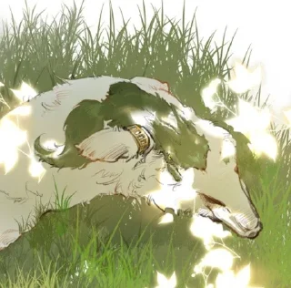 🌟