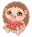 🍉