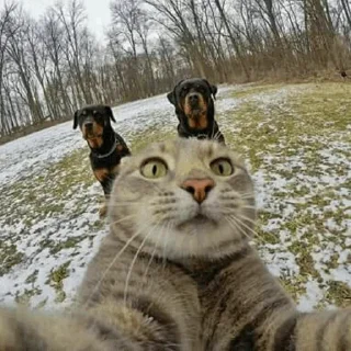 🤪