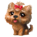 🐶