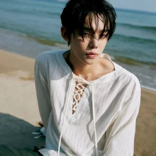 🐚