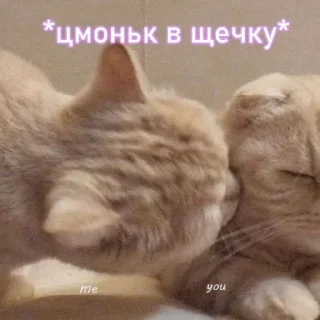 😘
