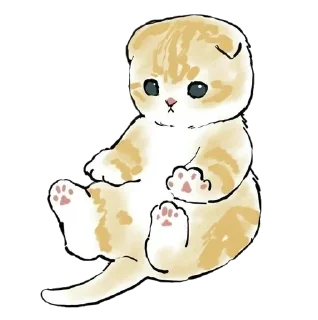 🐾