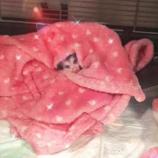 💖