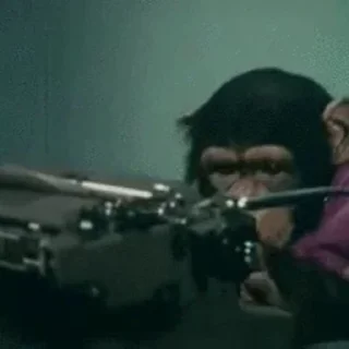 🐒