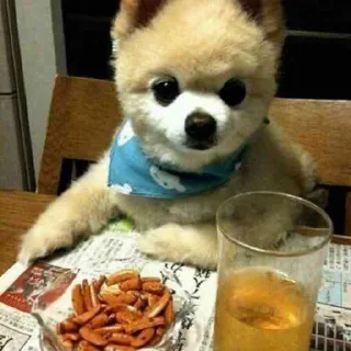 🍺