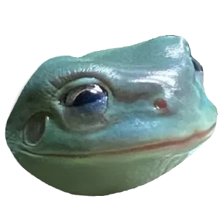 🐸