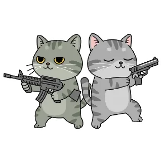 😸