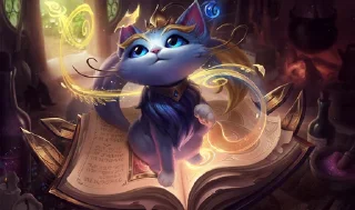 🙀