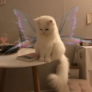 💗