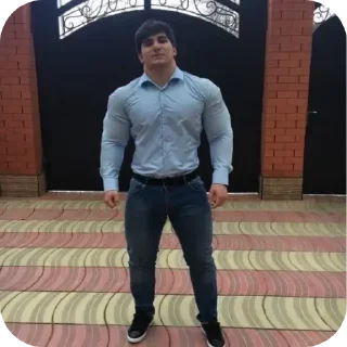 Тамаев