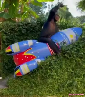 🚀
