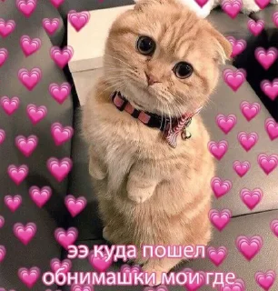 💗