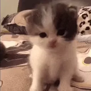 🤯