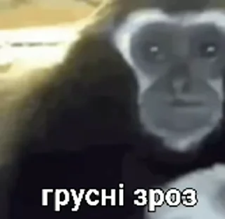 😭