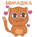 😻